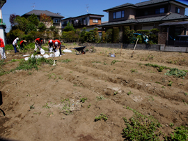 ヘドロの撤去作業05