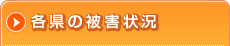 各県の被害状況